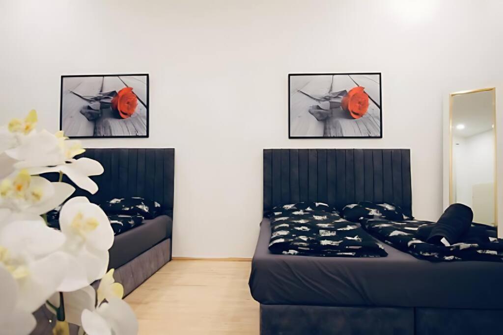 Lovely 2BR Apt With Modern Amenities Near Augarten