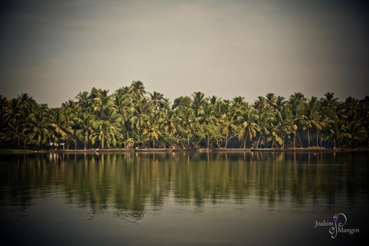 Photo 50