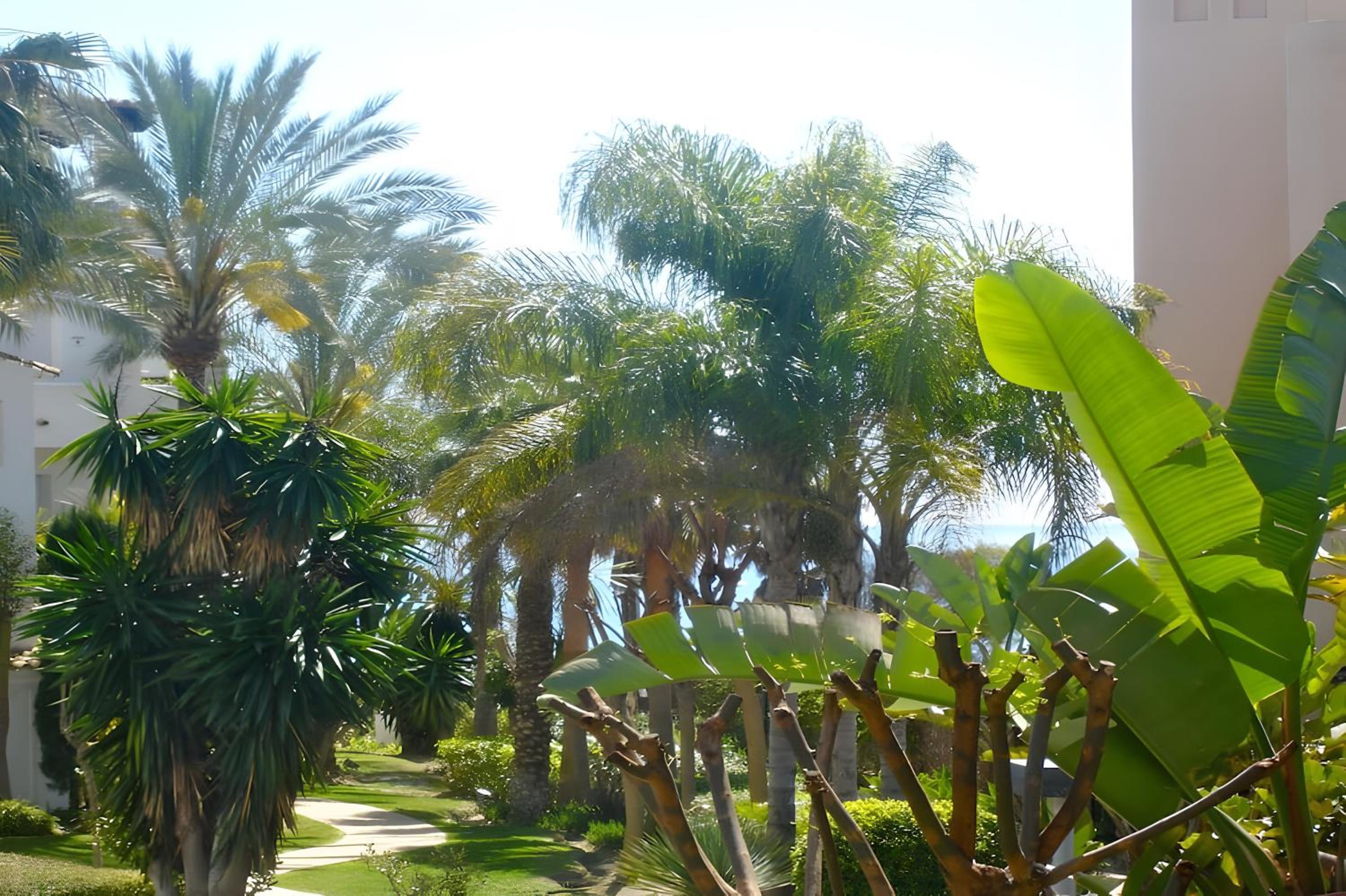 Apartamento de lujo a 30m playa view 3