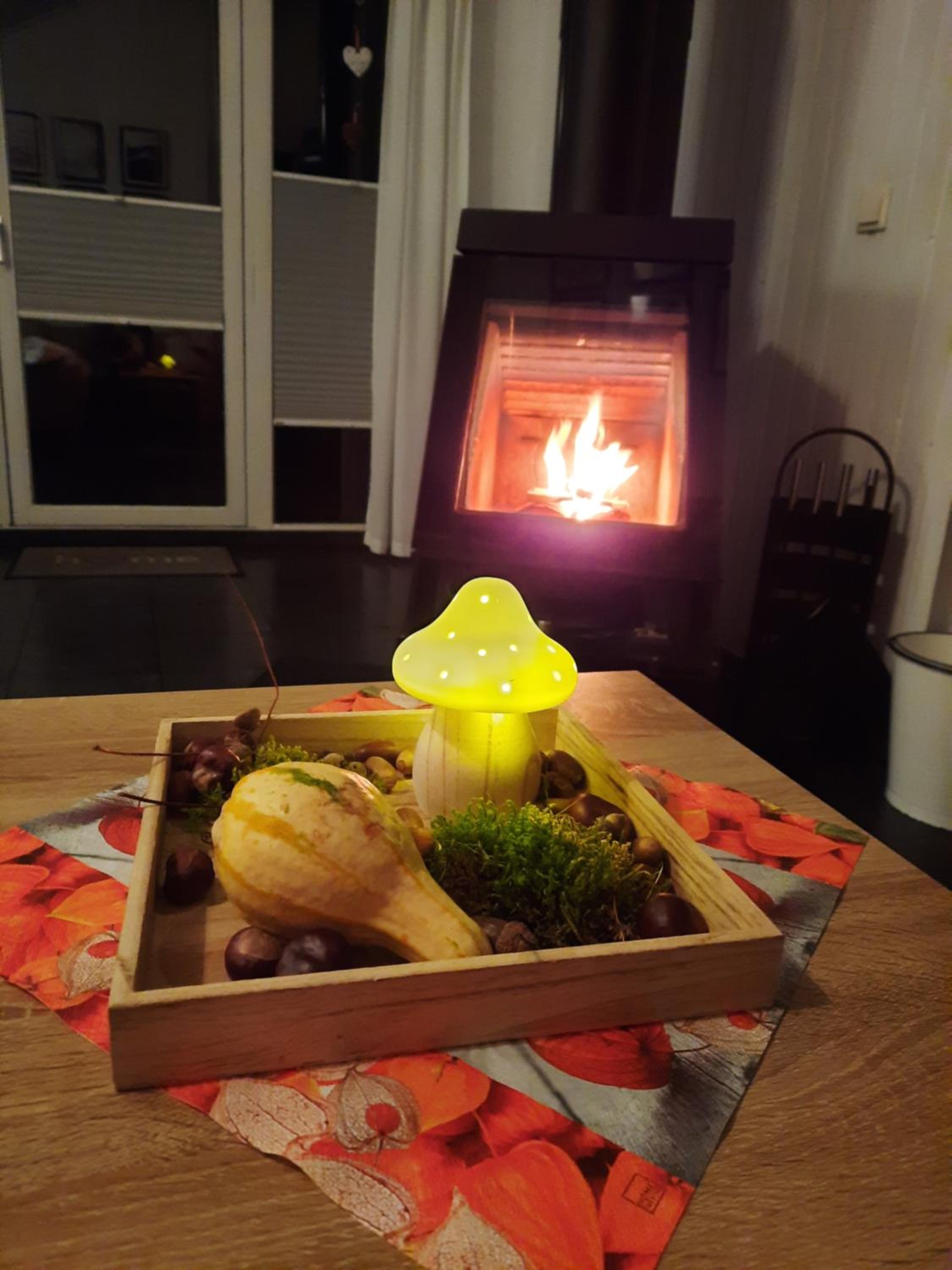 Ferienhaus 