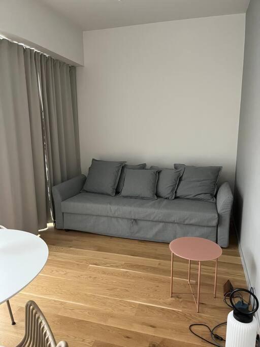 Flat in Pärnu, Esplanaadi street Studio & Kitchen view 5
