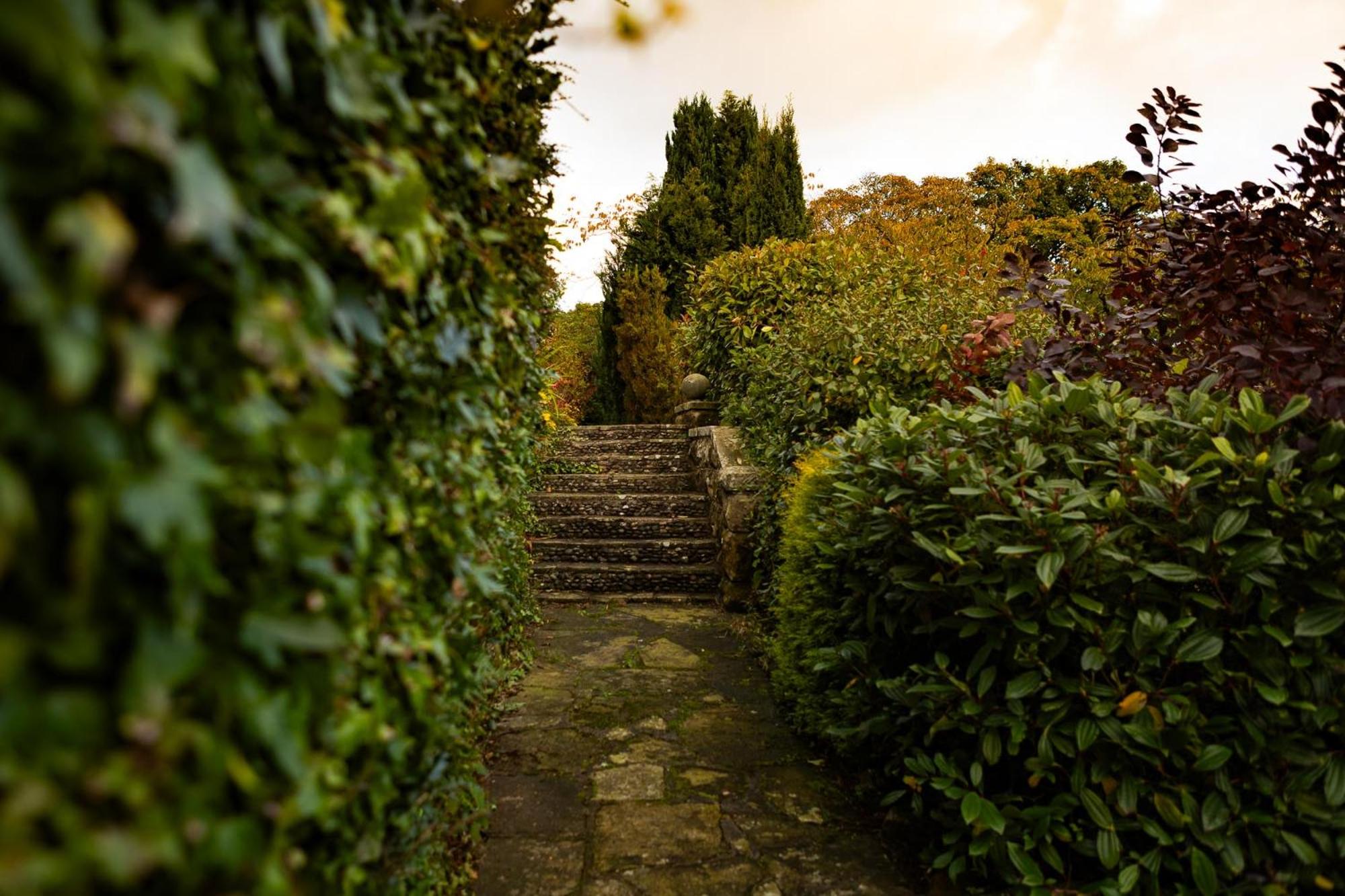 Photo 43