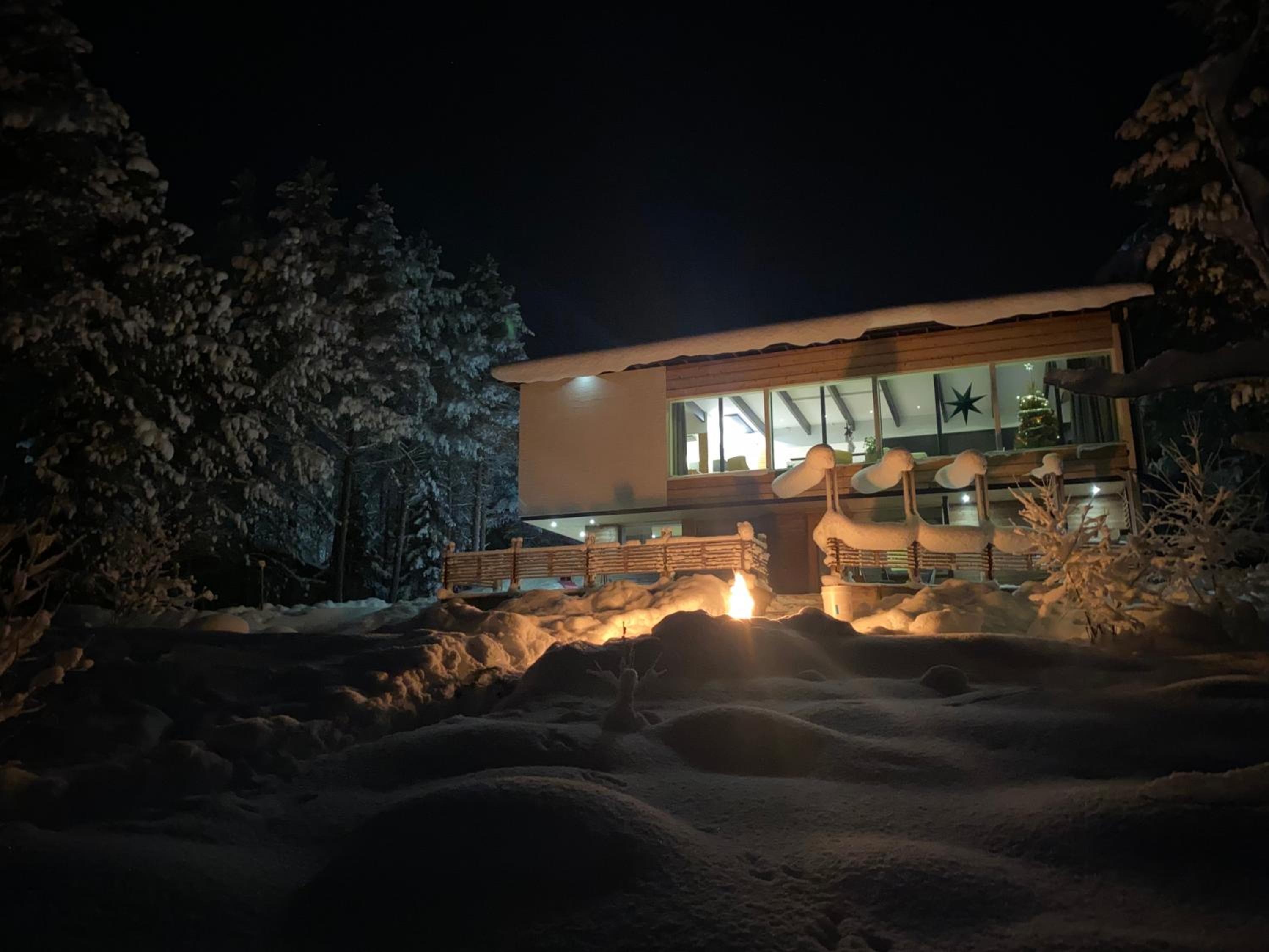Arctic Wood Art City Villa
