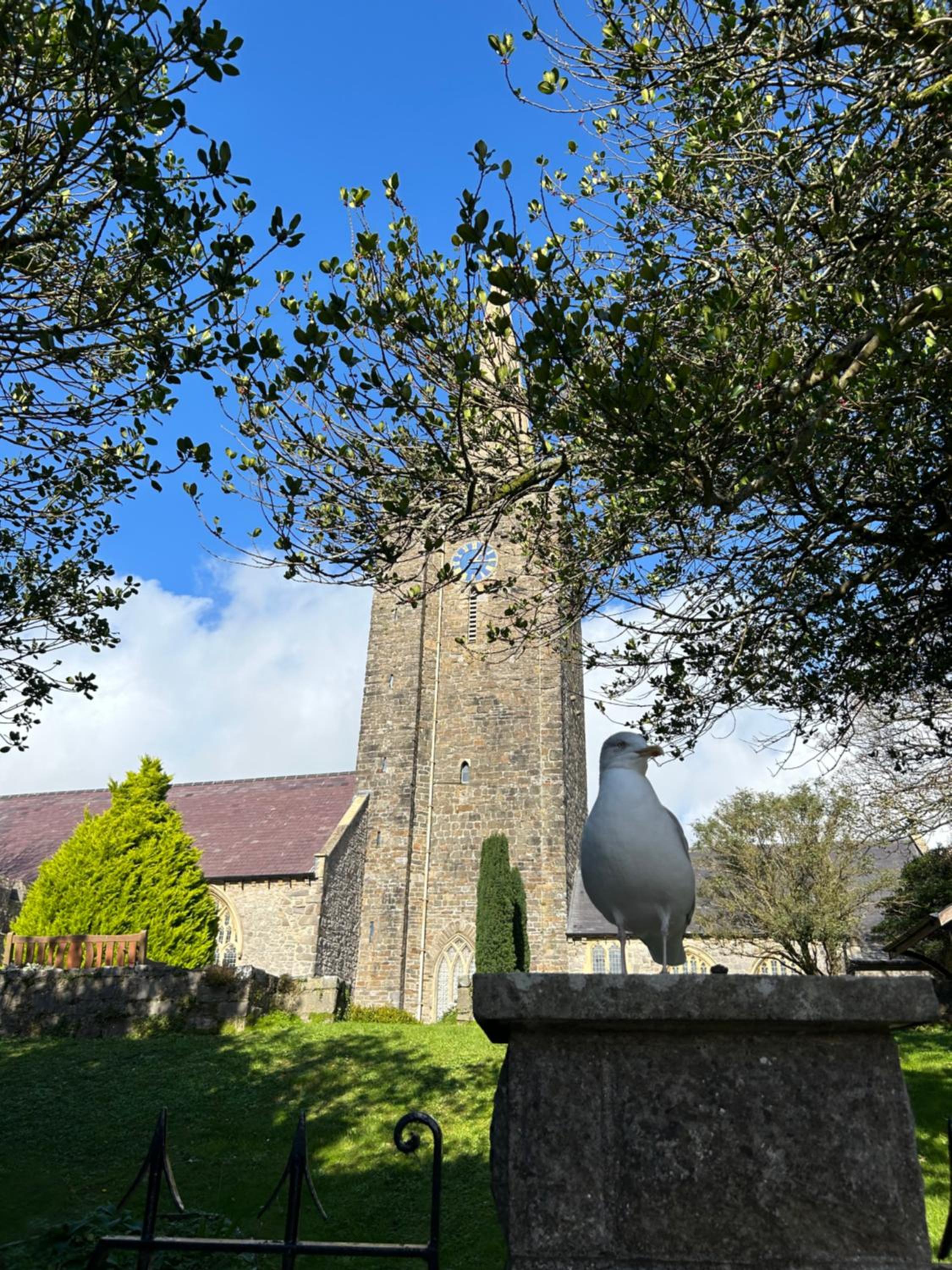 Photo 9