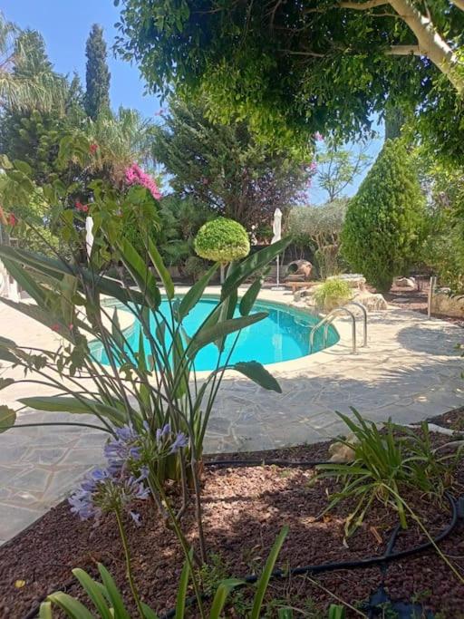 Beautiful Villa in Latchi in the best location!
