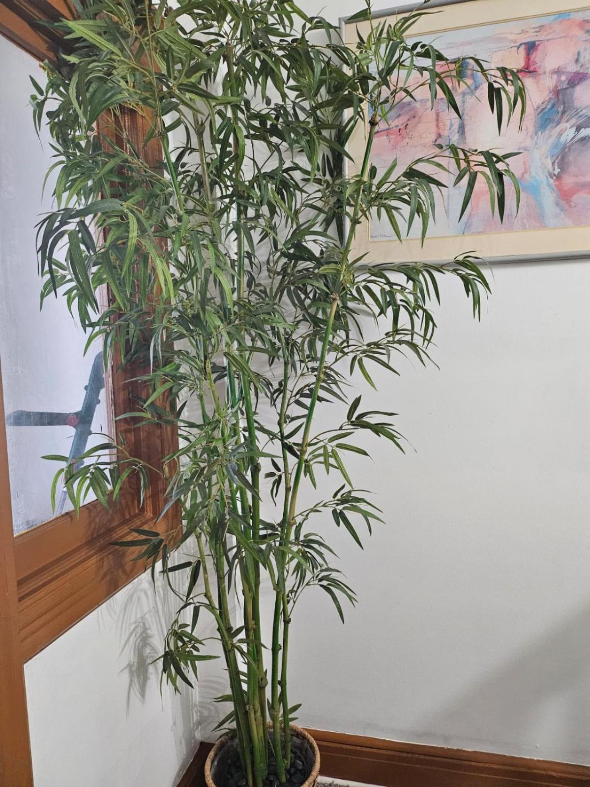 UD guest house - Property Image 10