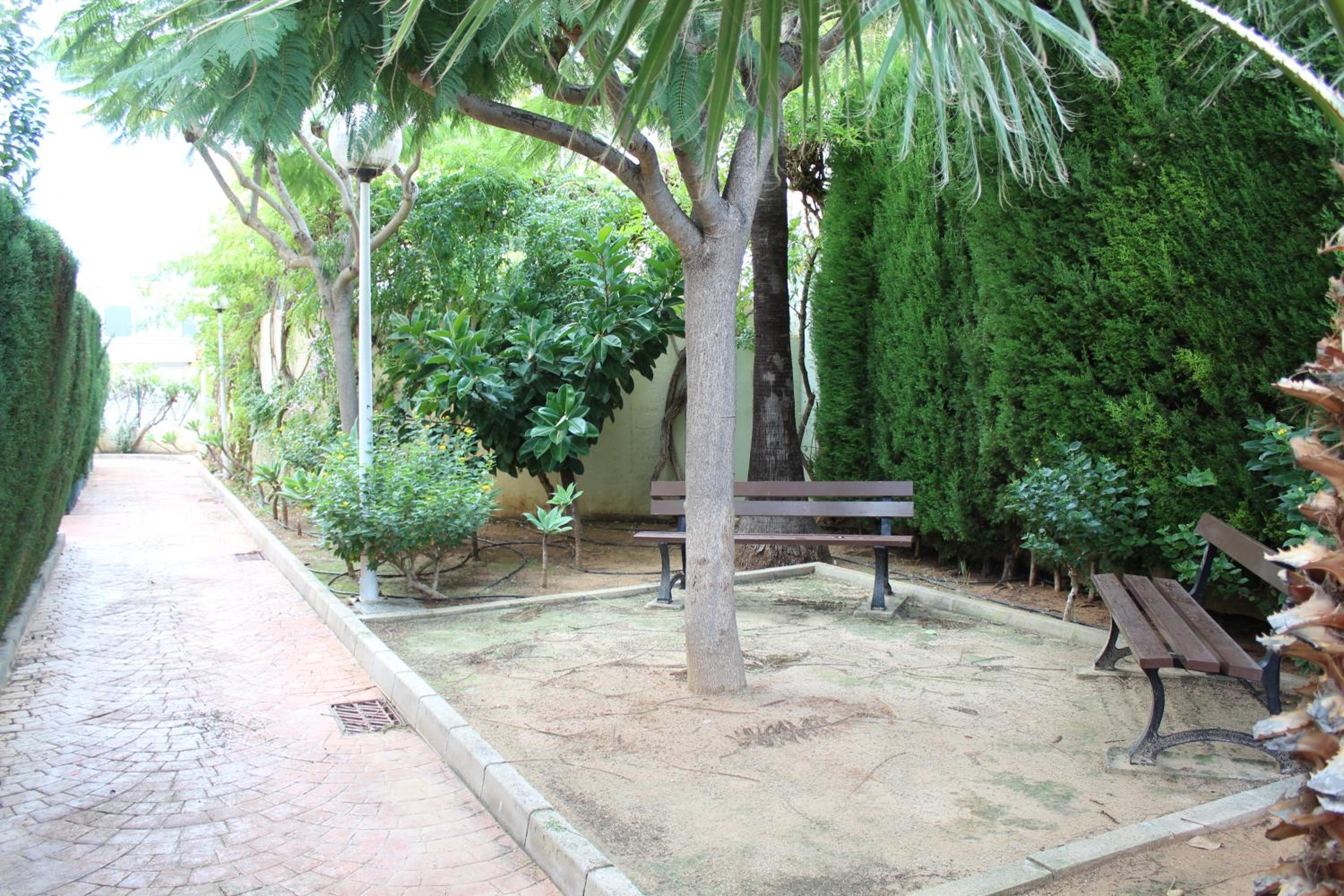 Photo 44