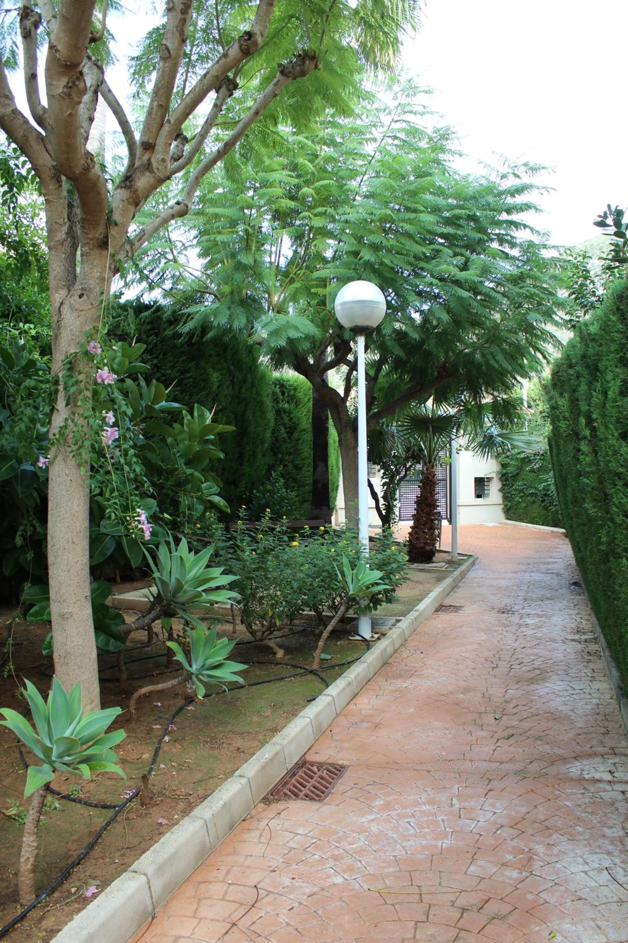 Photo 45