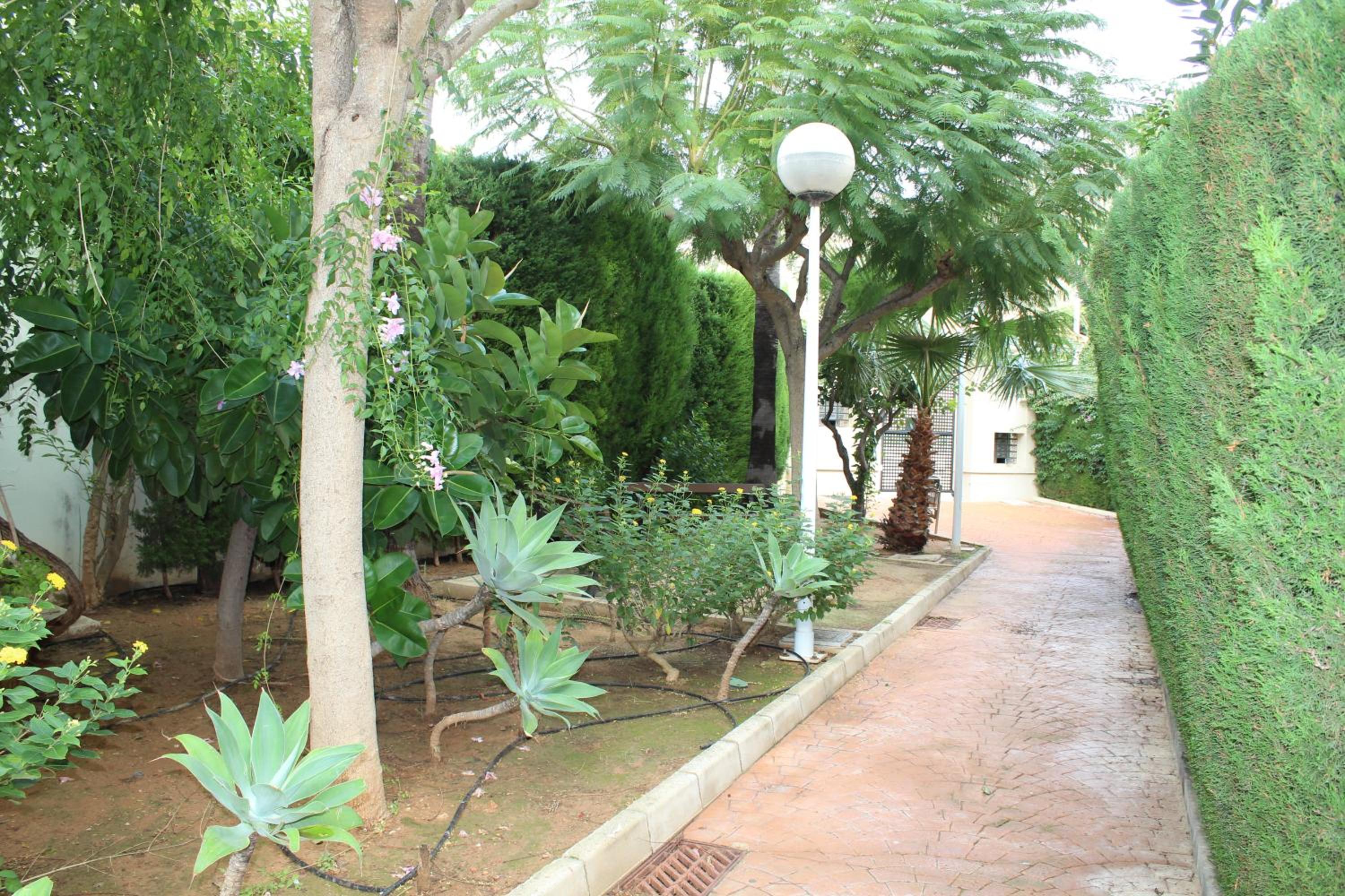 Photo 49