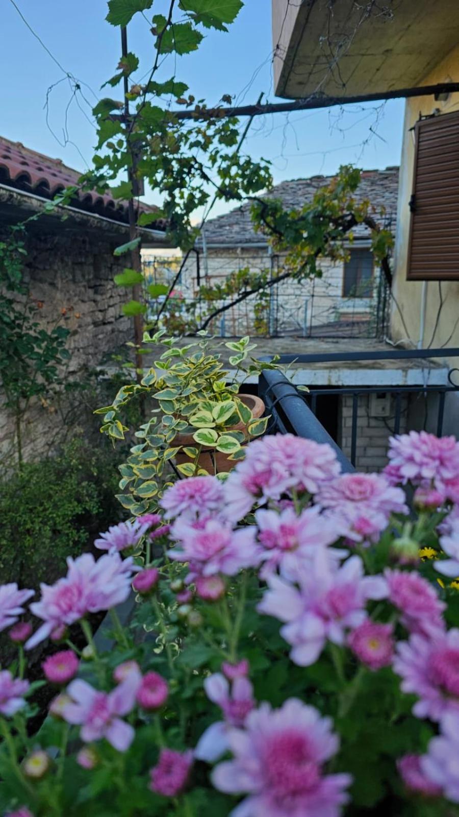 Luigi Guest House