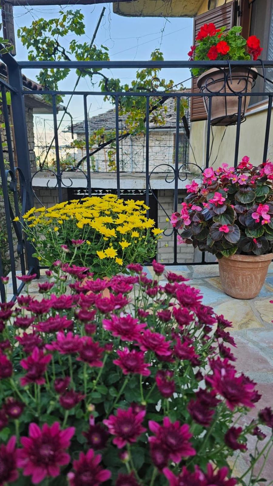 Luigi Guest House