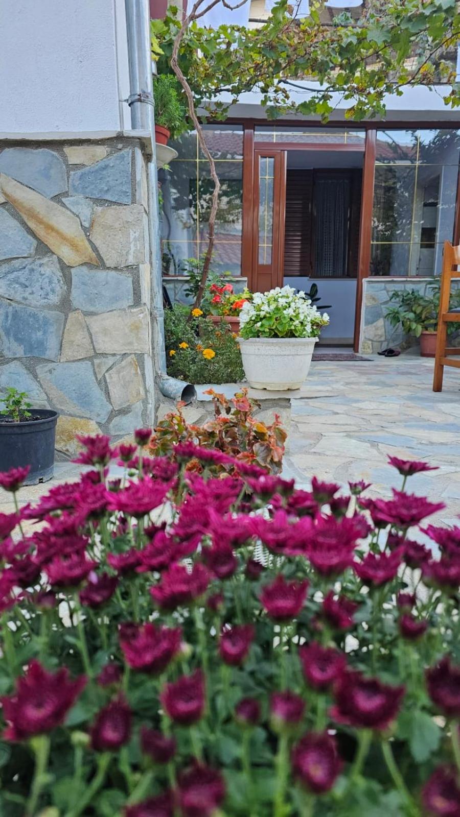 Luigi Guest House