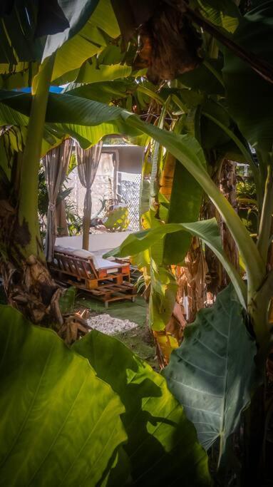 Apartamentos turisticos - Boho Sai