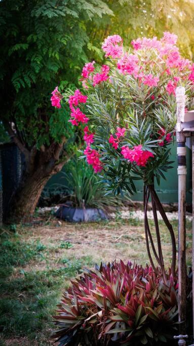 Apartamentos turisticos - Boho Sai