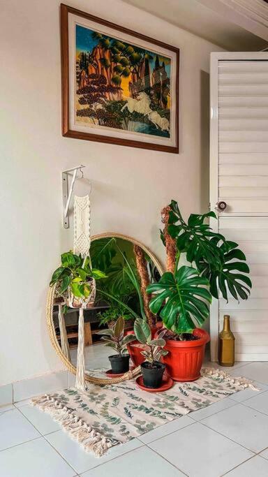 Apartamentos turisticos - Boho Sai