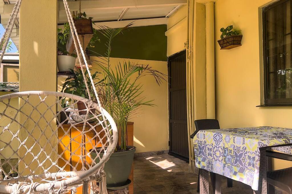 Apartamentos turisticos - Boho Sai