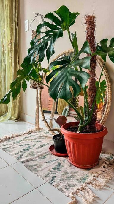 Apartamentos turisticos - Boho Sai