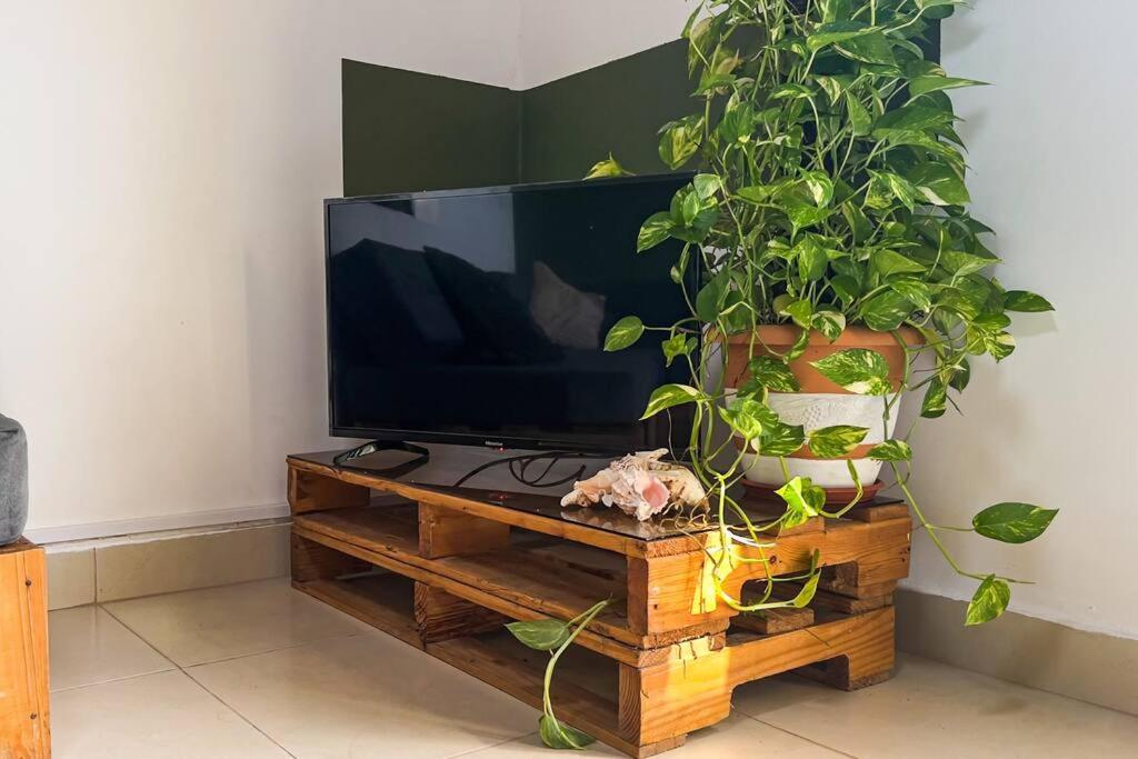 Apartamentos turisticos - Boho Sai