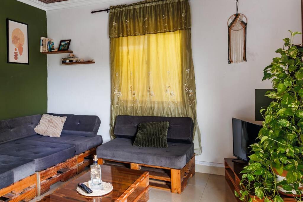 Apartamentos turisticos - Boho Sai
