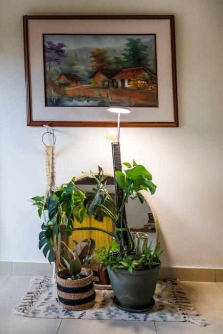 Apartamentos turisticos - Boho Sai