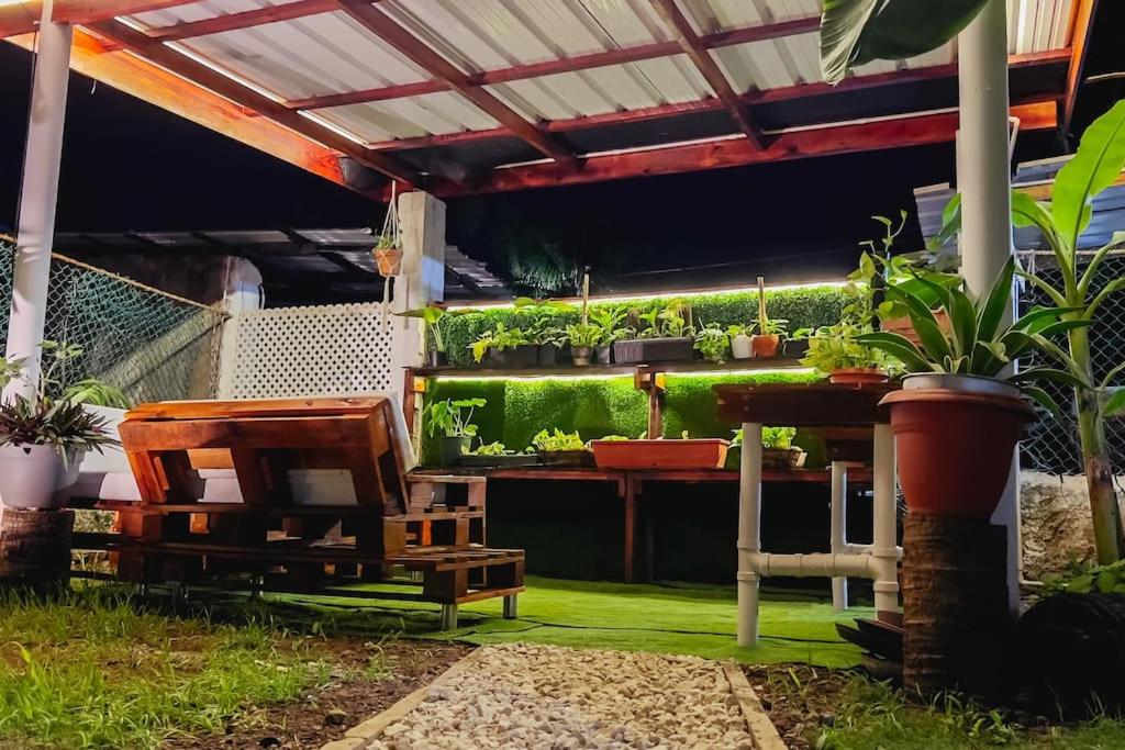 Apartamentos turisticos - Boho Sai