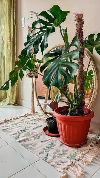 Apartamentos turisticos - Boho Sai