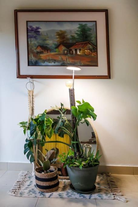Apartamentos turisticos - Boho Sai
