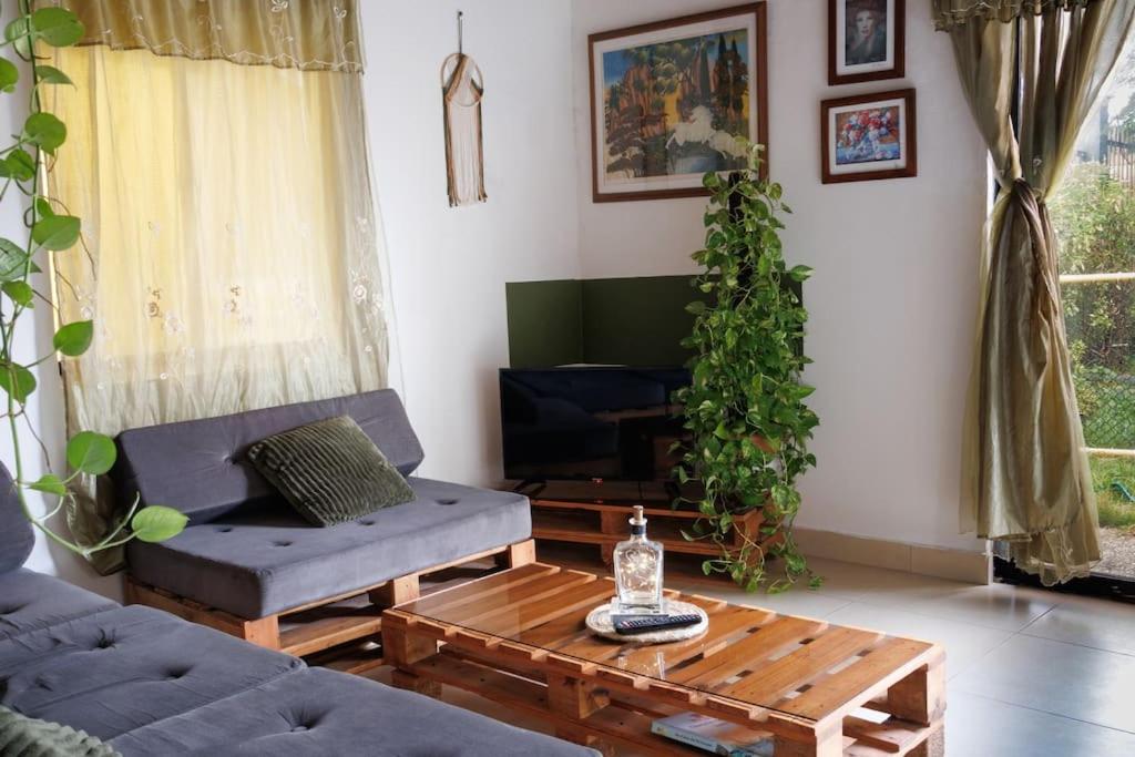 Apartamentos turisticos - Boho Sai