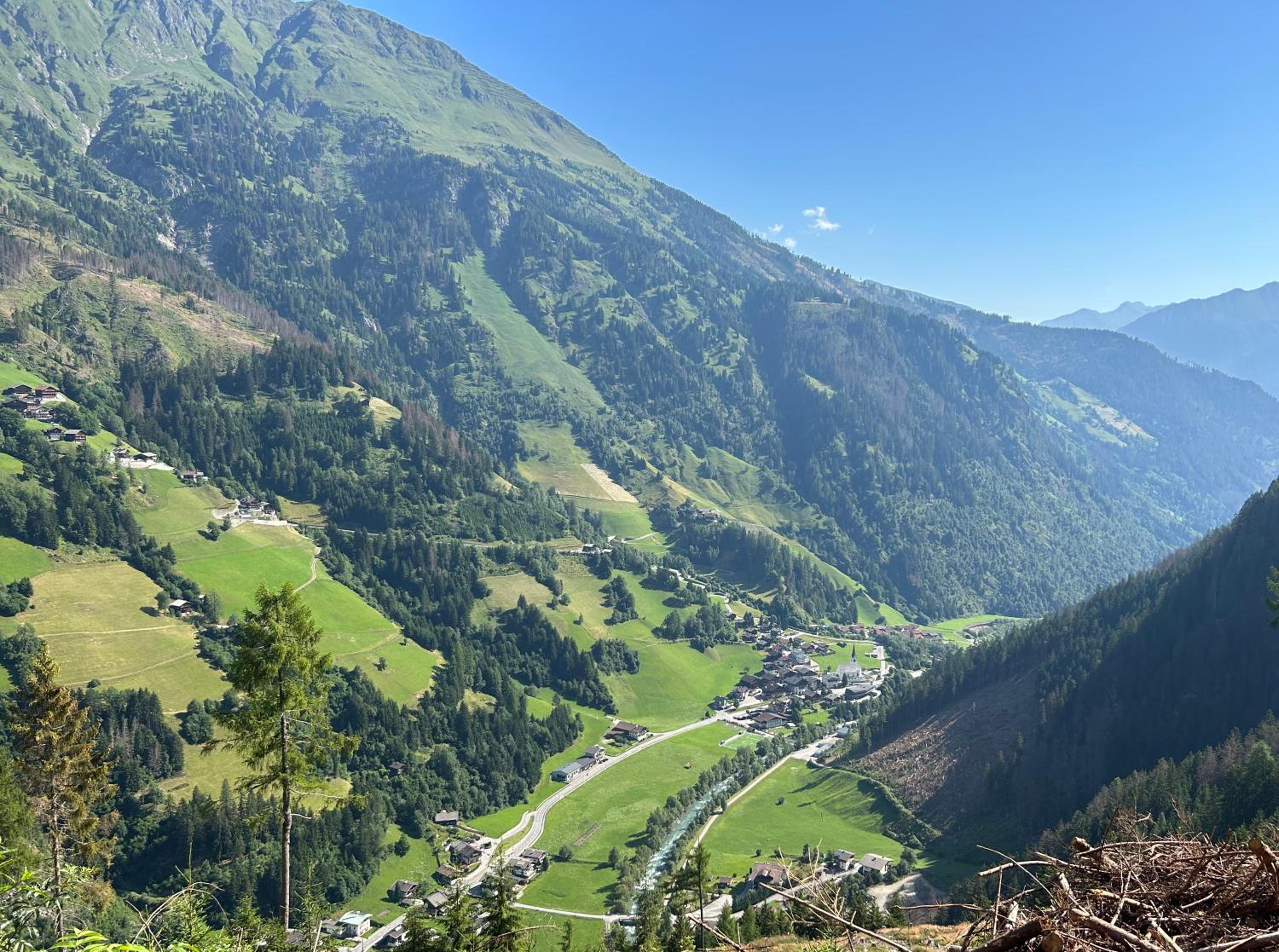 Haus Waldblick