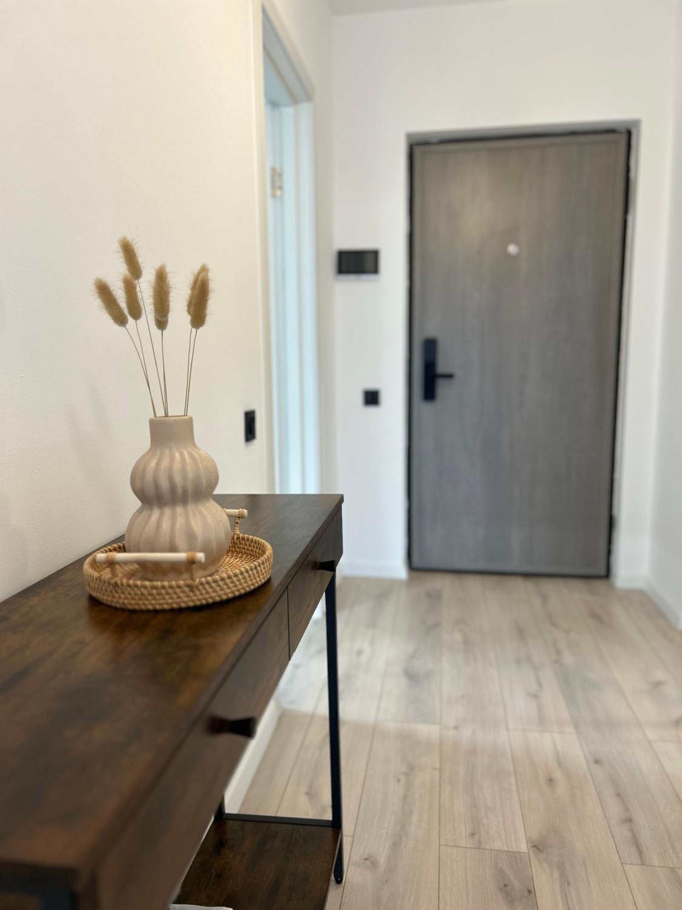 Urban Escape APT - Netflix & Max view 2