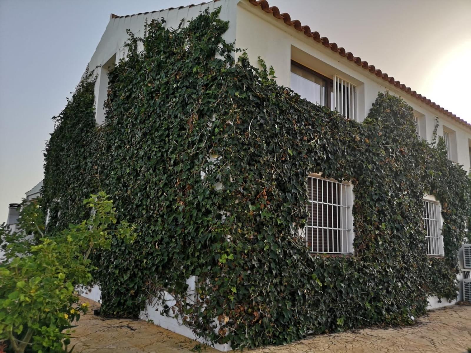 Finca encanto