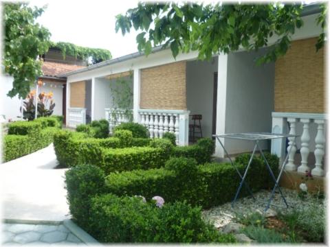 Photo 49