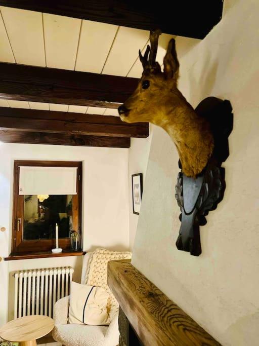 Familiehuis Gioia di vivere view 4
