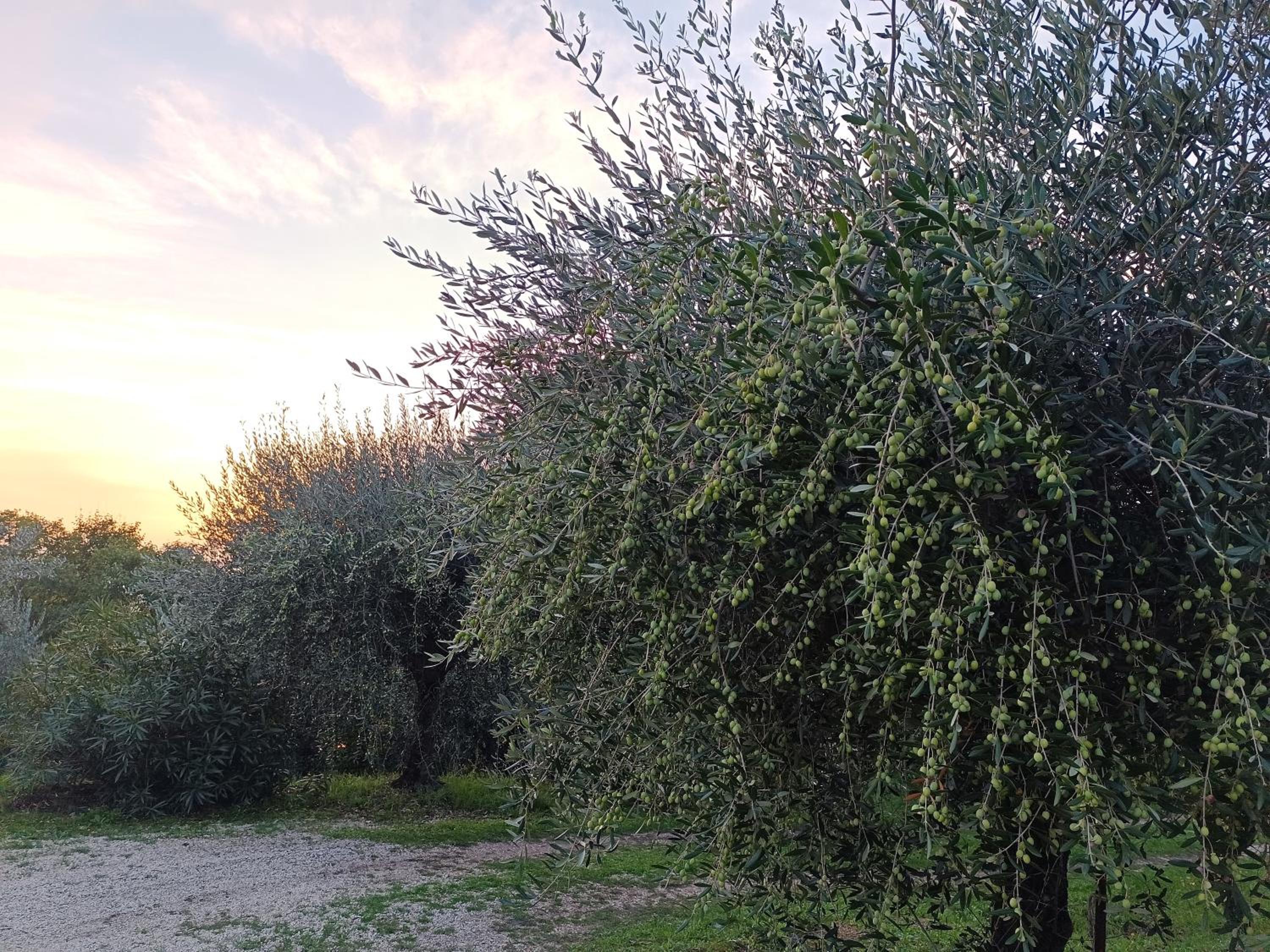 La Pietruzza view 2