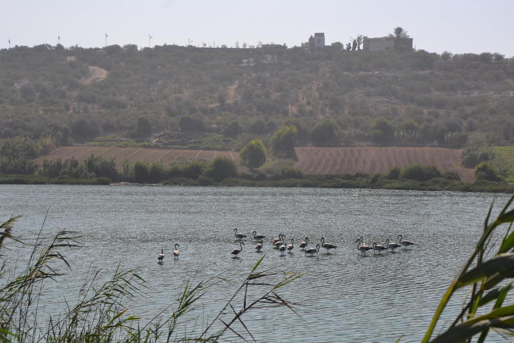 other