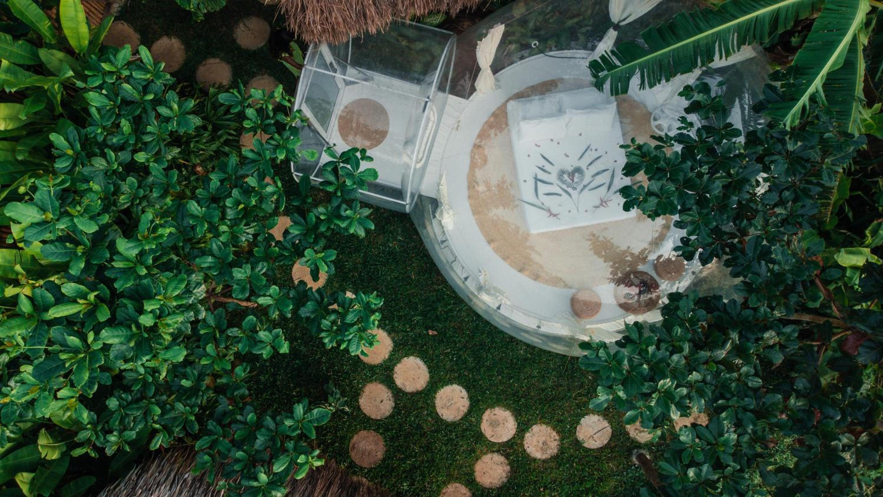 Bubble Siargao
