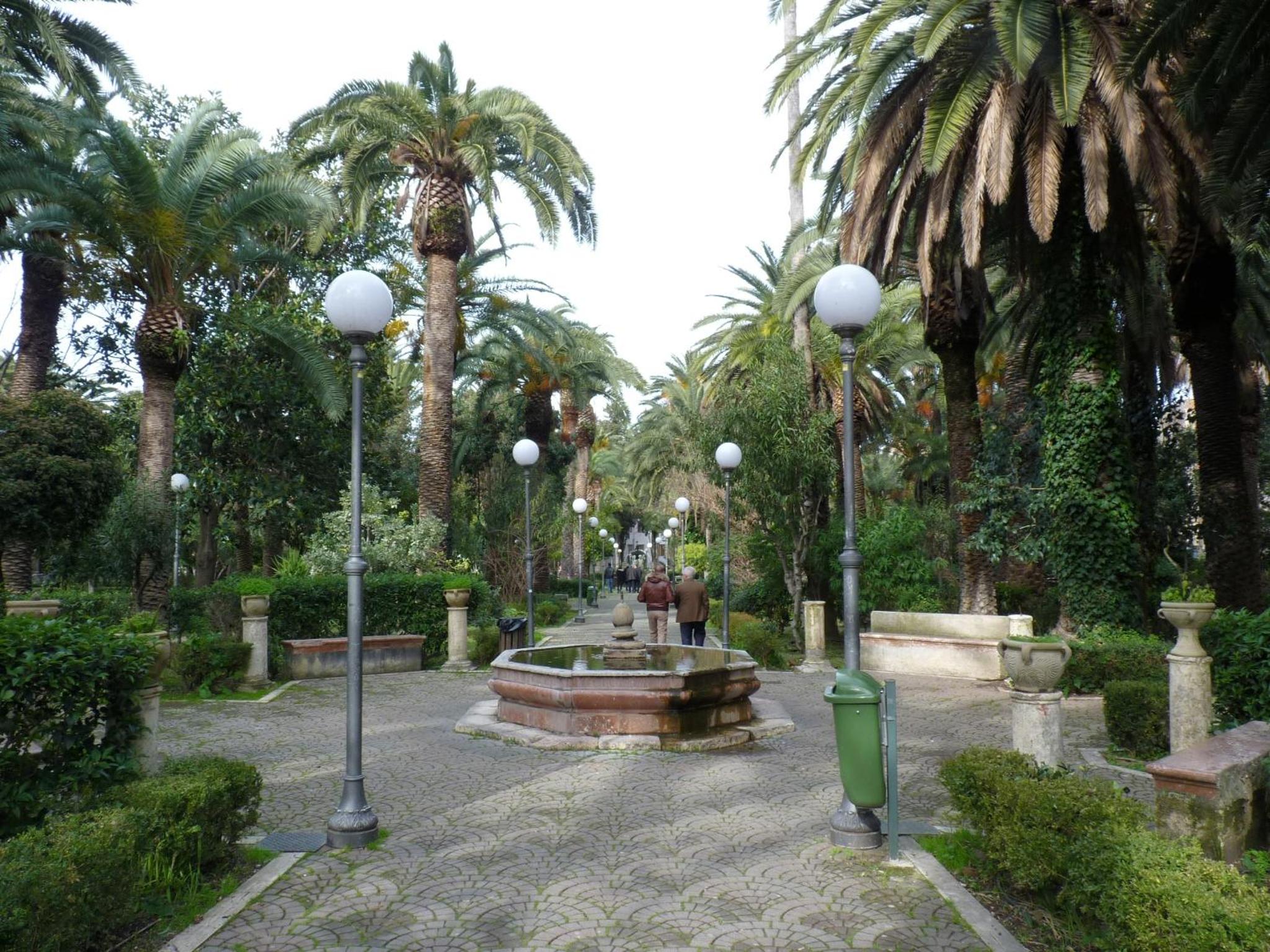 Photo 29