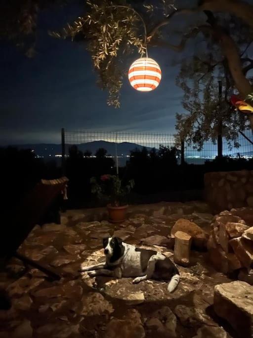Kömürün Çocukları