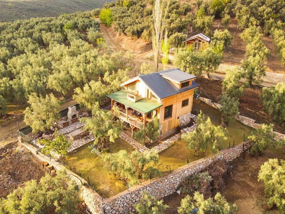 Kömürün Çocukları