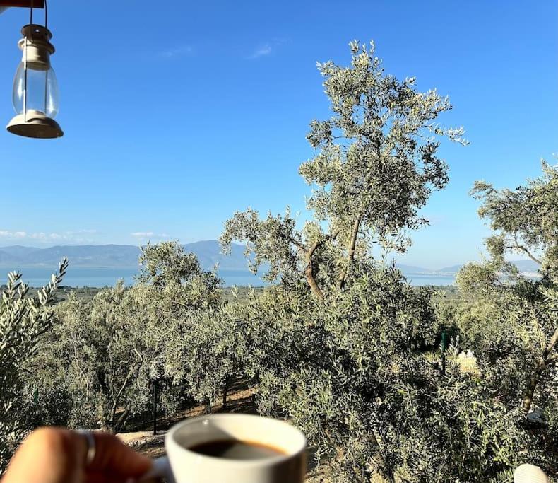 Kömürün Çocukları