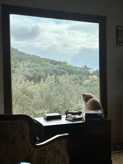 Kömürün Çocukları