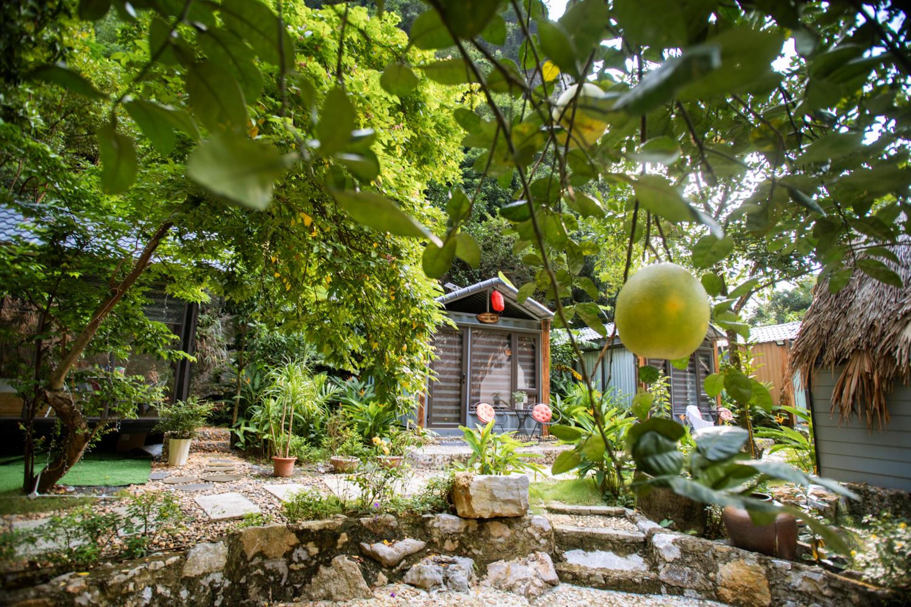 Hoang Minh Mountainside Villa