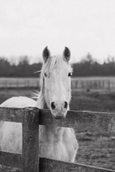 The Green Acres Heritage Estate