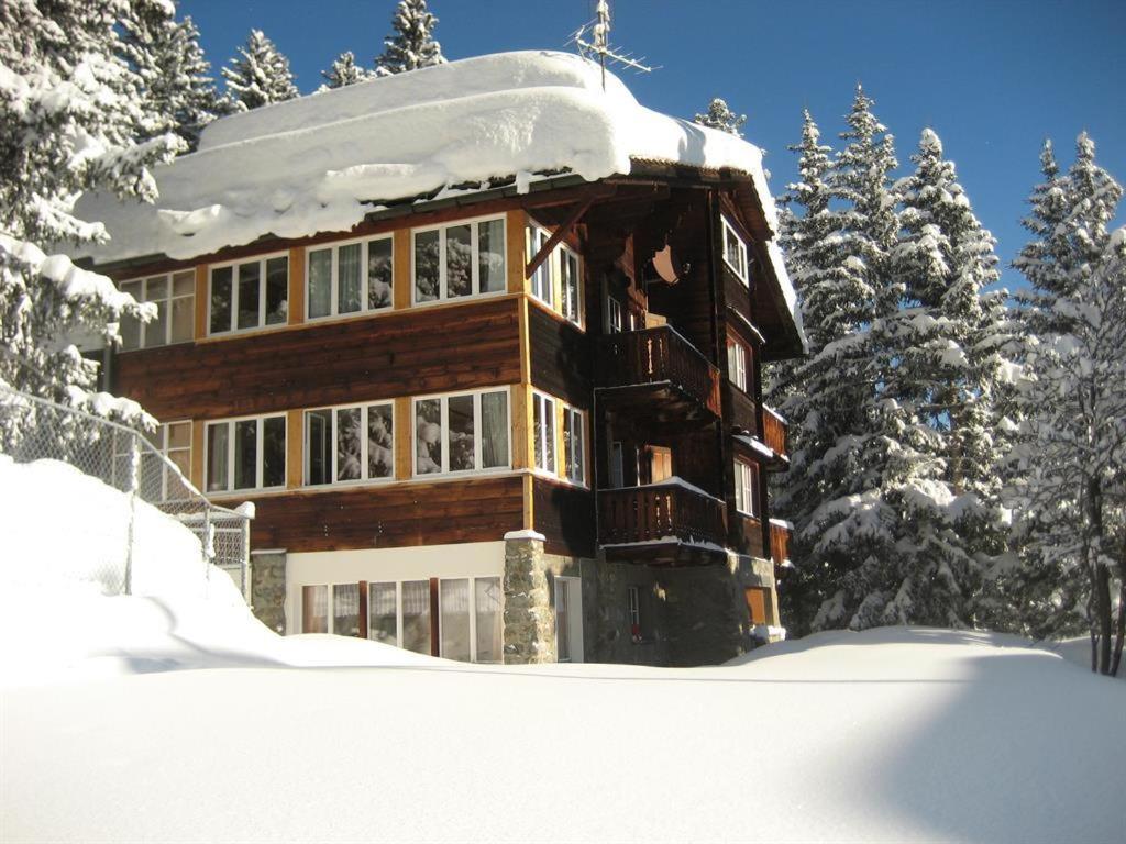 Chalet Suveran 2