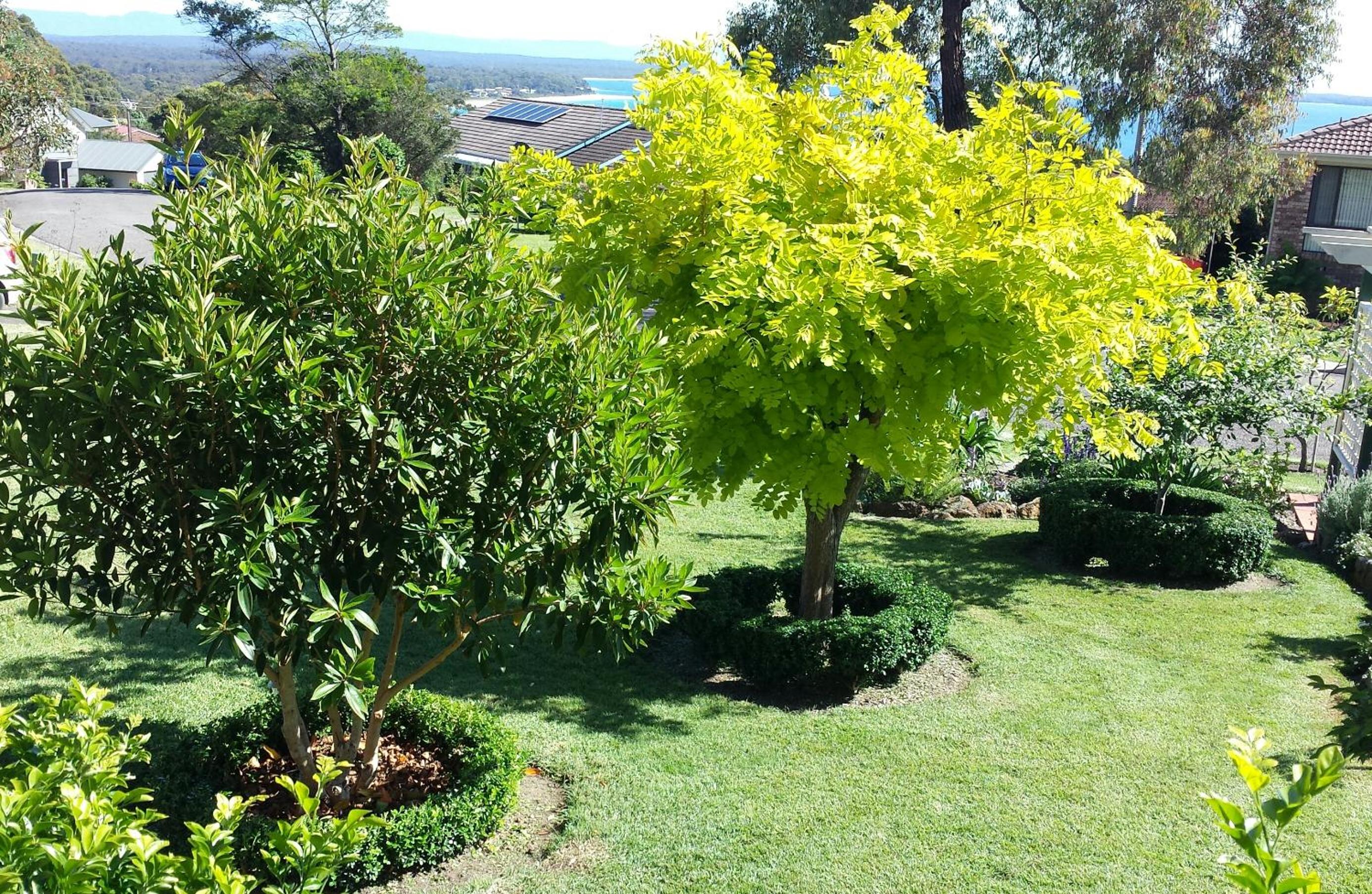 Jervis Bay Blue - Vincentia