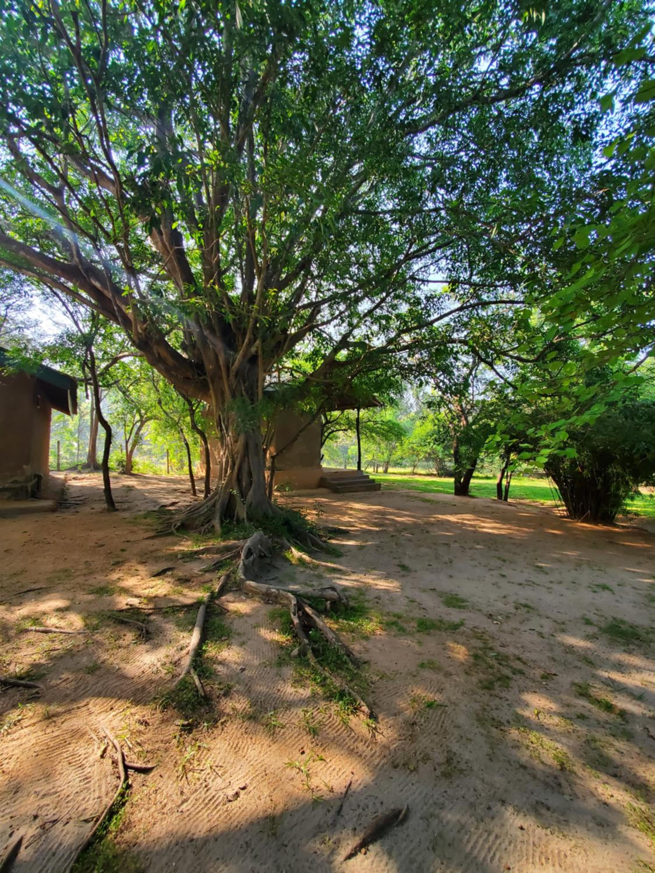 Clay Hut Village