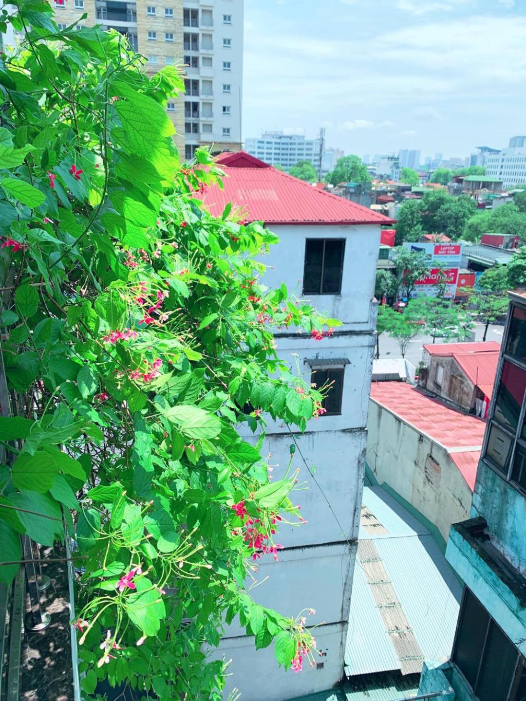 MAY - AMAYZING CITY View