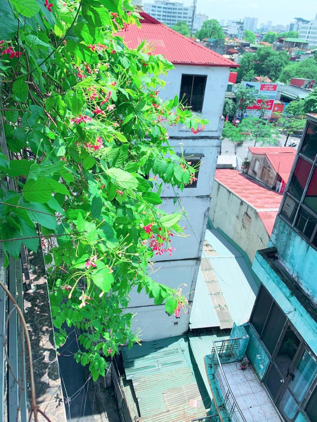 MAY - AMAYZING CITY View