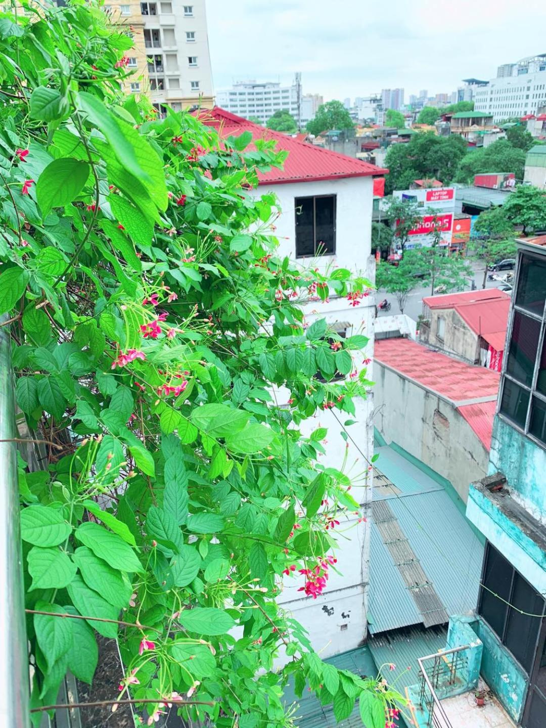 MAY - AMAYZING CITY View