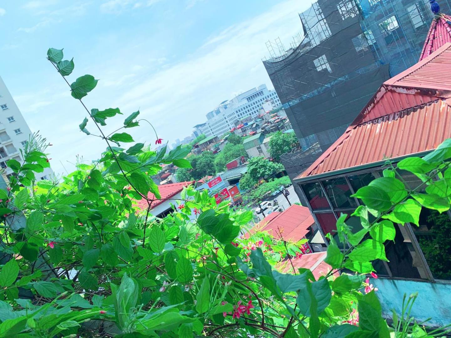 MAY - AMAYZING CITY View